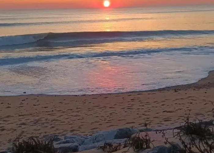 Welcome Becs! Saint-Hilaire-de-Riez